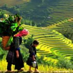 Sapa