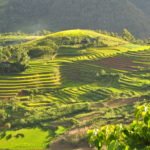 Sapa